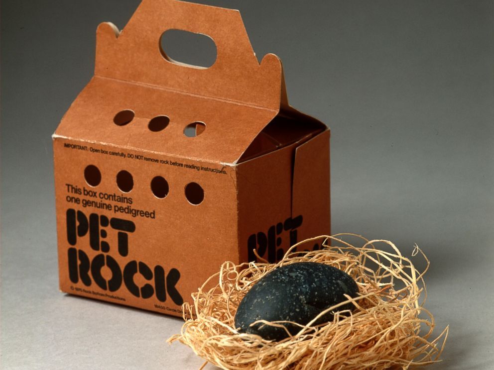 Gary Dahl sold over 4m of his product the petrock in the 1970's